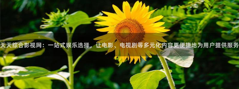 青柠影院西瓜观看高清：天天综合影视网：一站式娱乐选择，让电影、电视剧等多元化内容更便捷地为用户提供服务