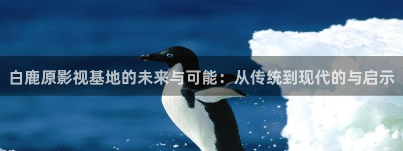 青柠影院免费下载：白鹿原影视基地的未来与可能：从传统到现代的与启示