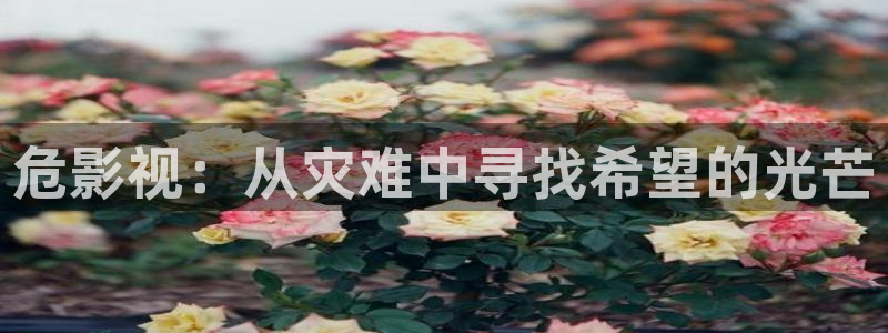 青柠影音在线：危影视：从灾难中寻找希望的光芒
