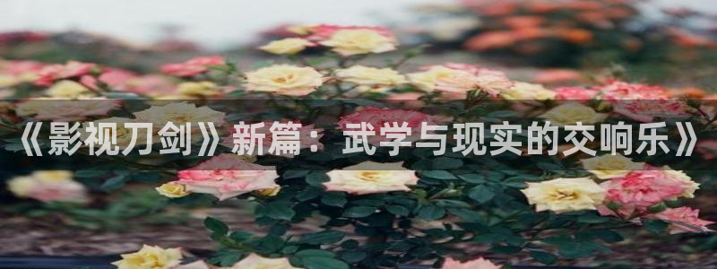 青柠伦理影院：《影视刀剑》新篇：武学与现实的交响乐》