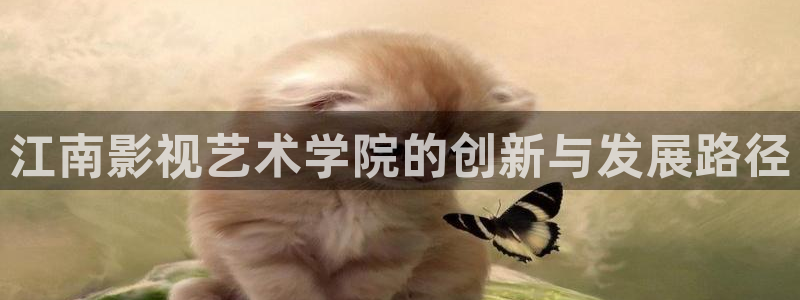 青柠影院在线观看高清电视：江南影视艺术学院的创新与发展路径